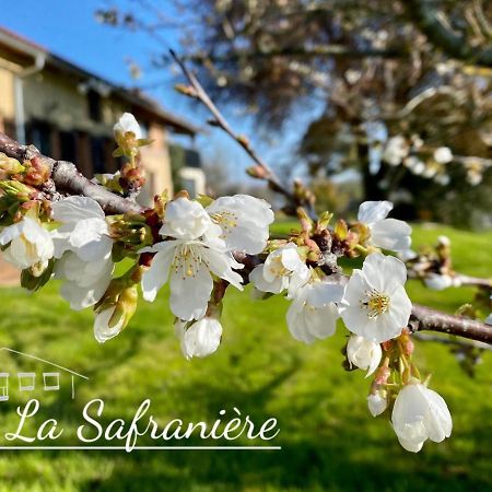 Vila La Safraniere Lagraulet-Saint-Nicolas Exteriér fotografie