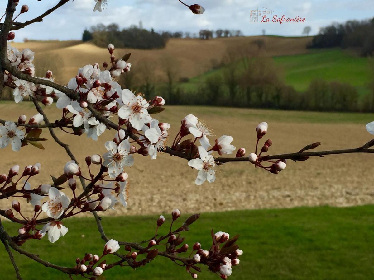 Vila La Safraniere Lagraulet-Saint-Nicolas Exteriér fotografie