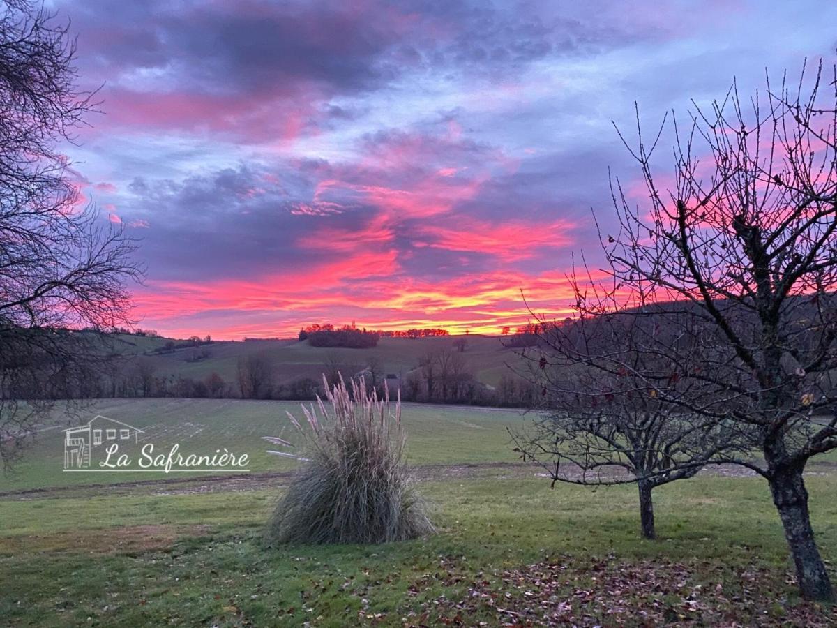 Vila La Safraniere Lagraulet-Saint-Nicolas Exteriér fotografie