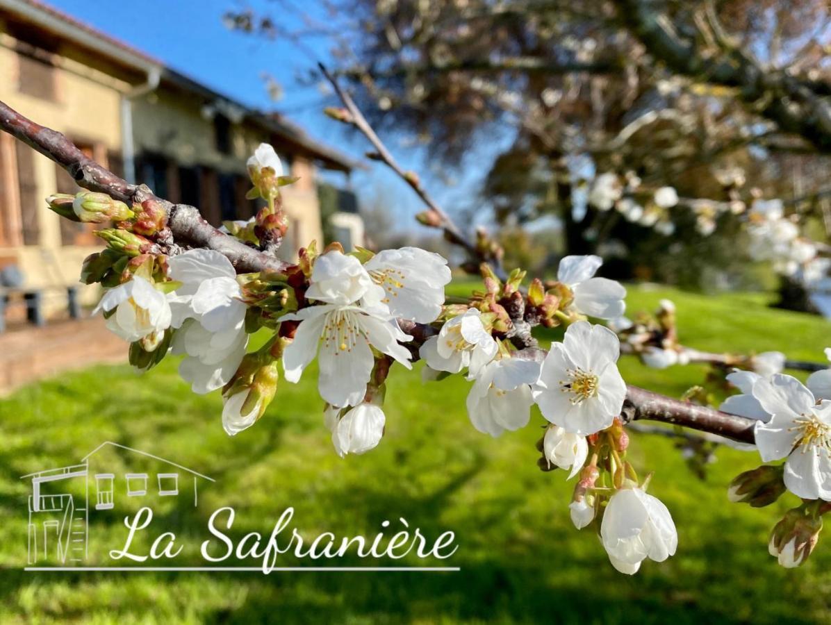 Vila La Safraniere Lagraulet-Saint-Nicolas Exteriér fotografie