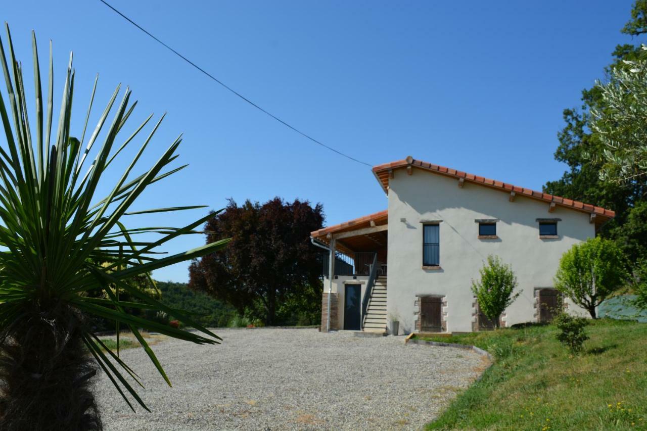 Vila La Safraniere Lagraulet-Saint-Nicolas Exteriér fotografie