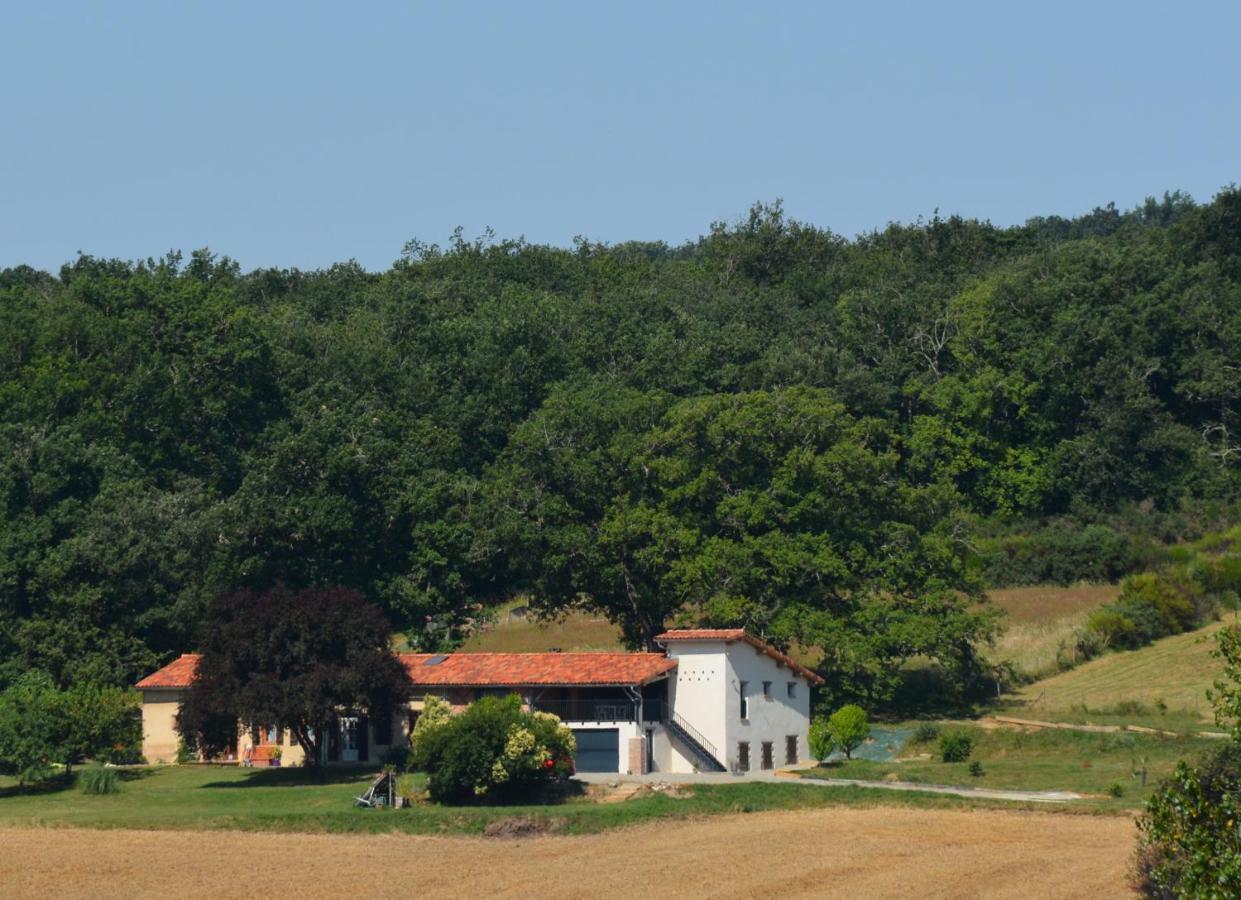 Vila La Safraniere Lagraulet-Saint-Nicolas Exteriér fotografie