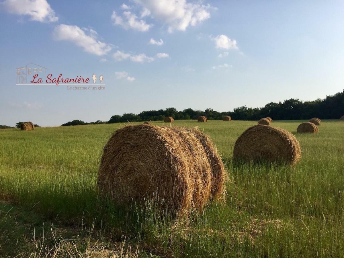 Vila La Safraniere Lagraulet-Saint-Nicolas Exteriér fotografie